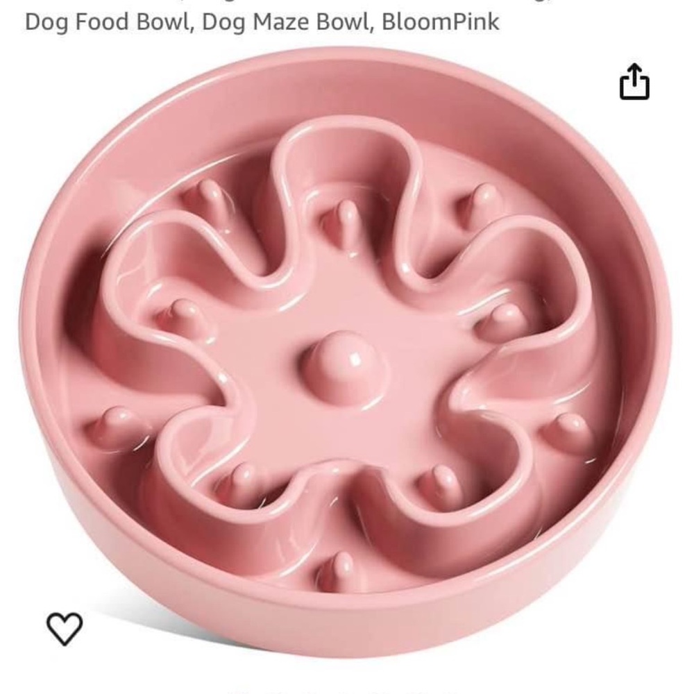 LE TAUCI Ceramic Slow Feed Dog bowl